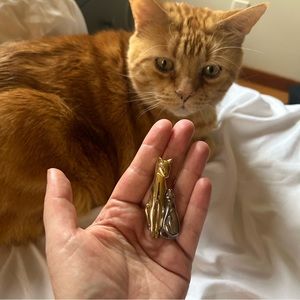Cat pin / brooch